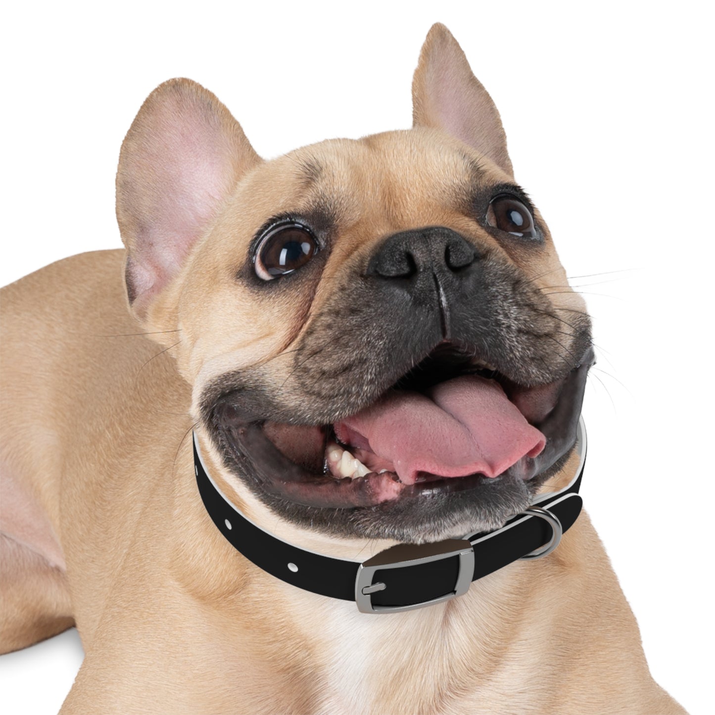 Diamante Dog Collar