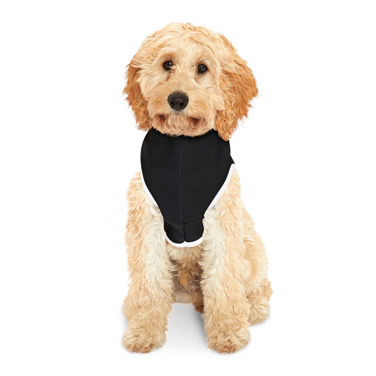 Diamante Pet Hoodie