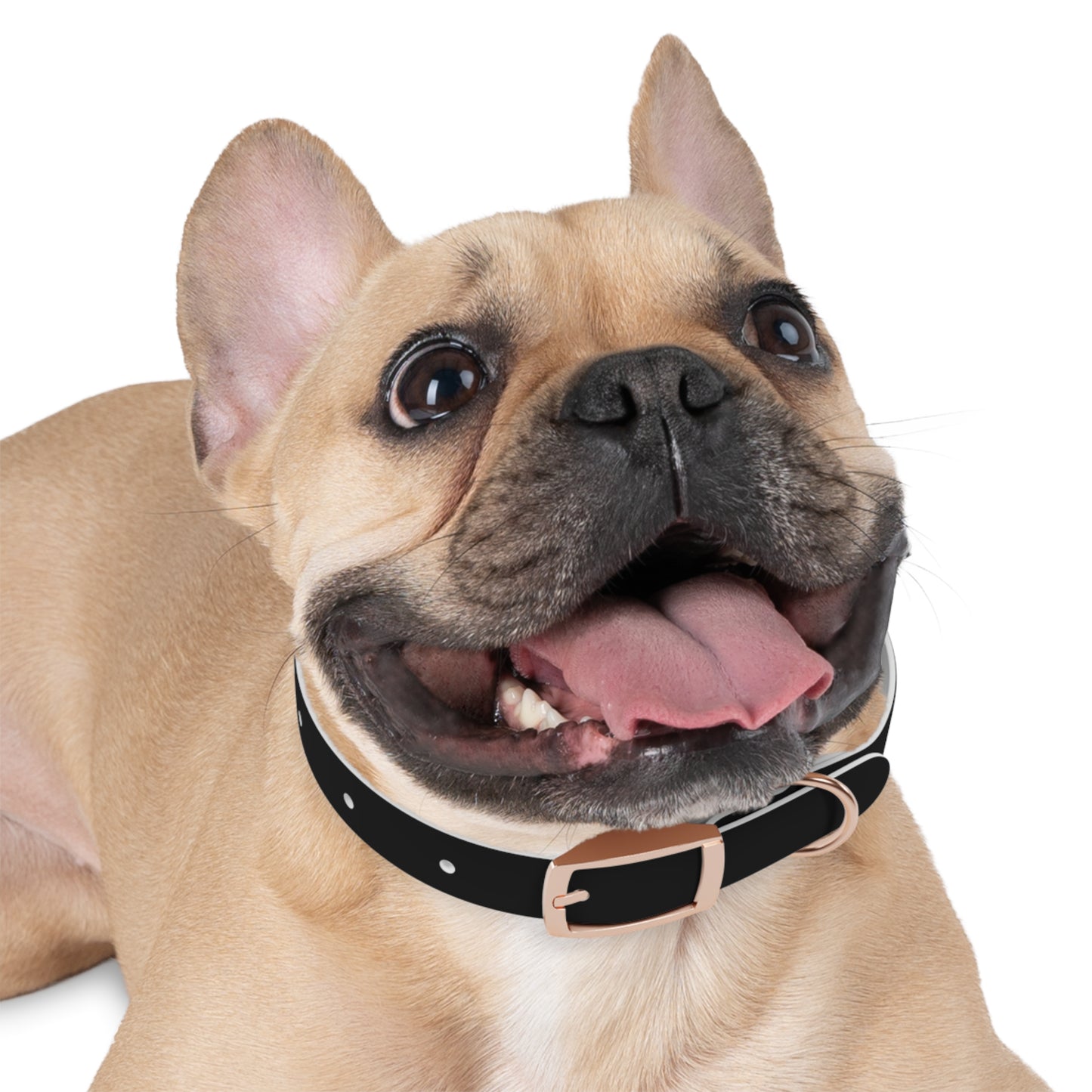 Diamante Dog Collar