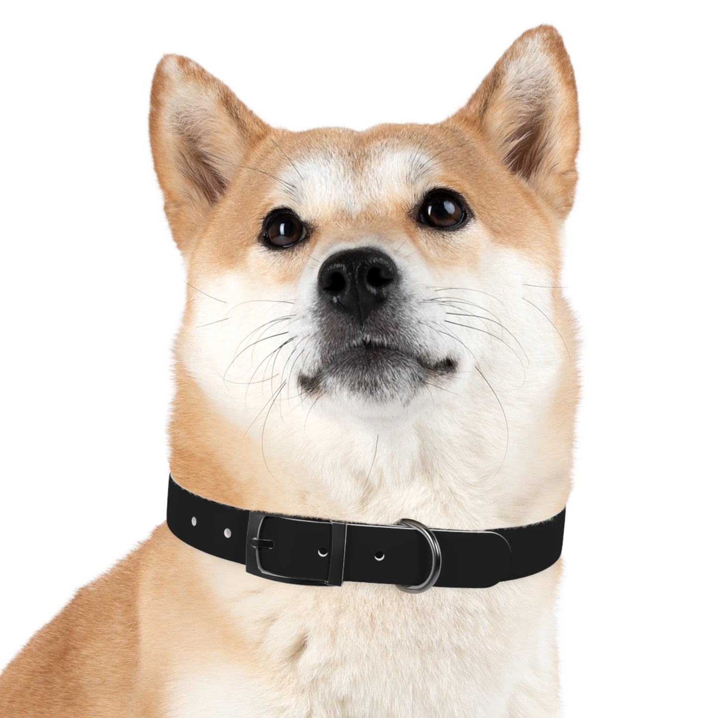 Diamante Dog Collar
