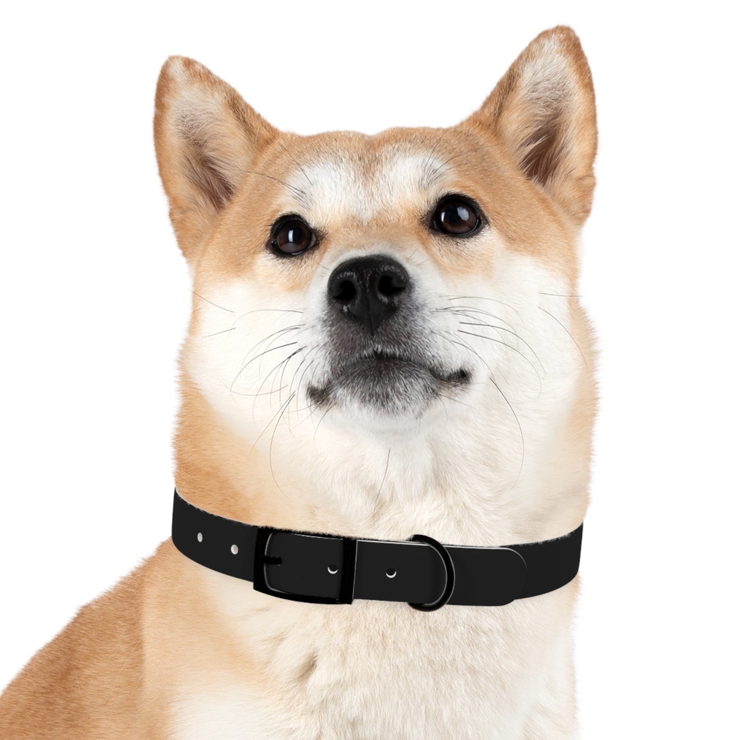 Diamante Dog Collar