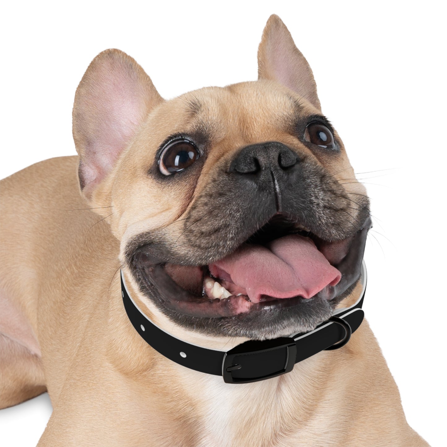 Diamante Dog Collar
