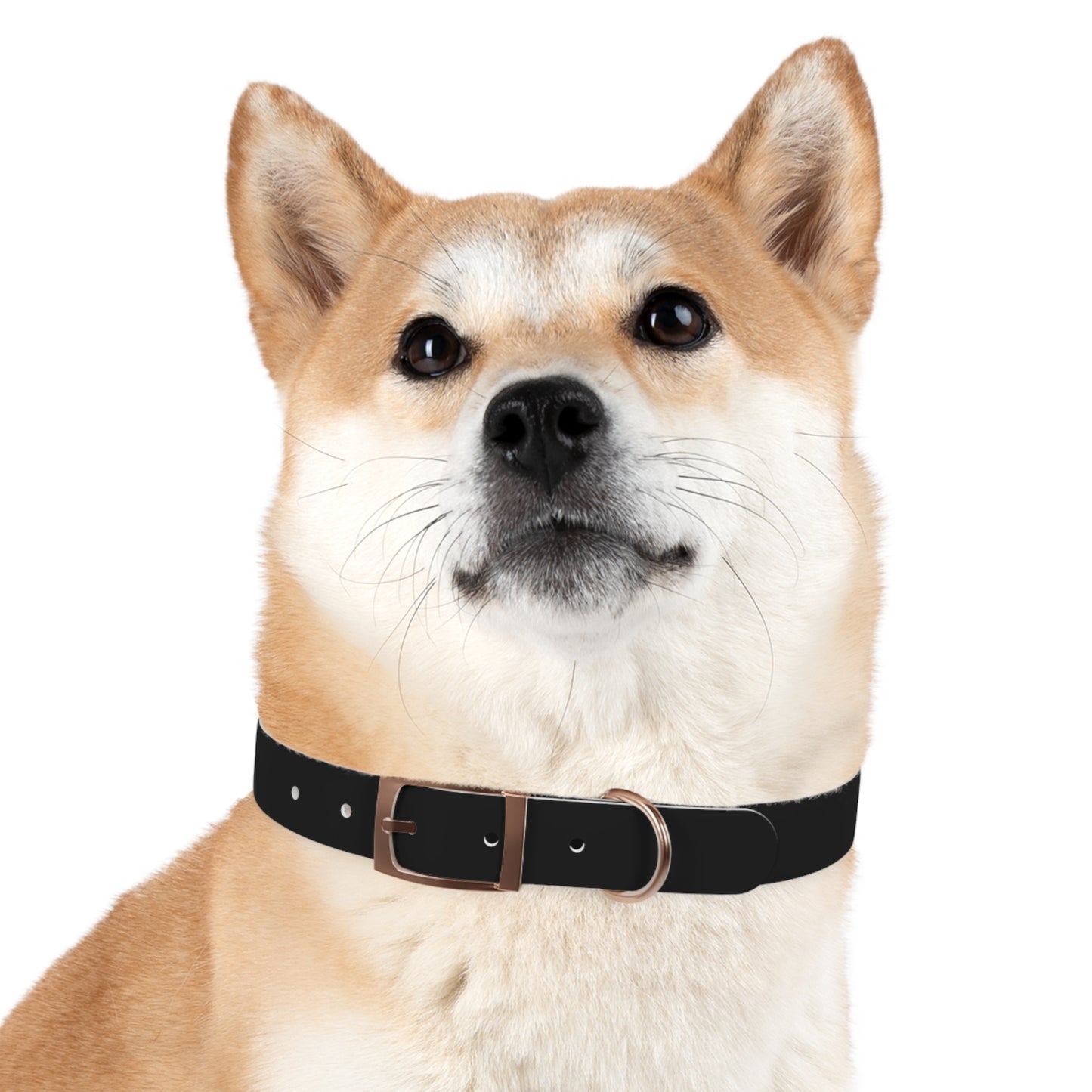 Diamante Dog Collar